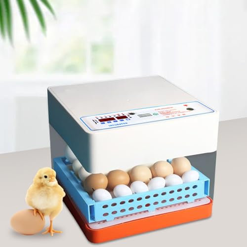 Vollautomatische Inkubator Brutmaschine Automatische Eierdrehfunktion 24 Eier Brutapparat Brutautomat