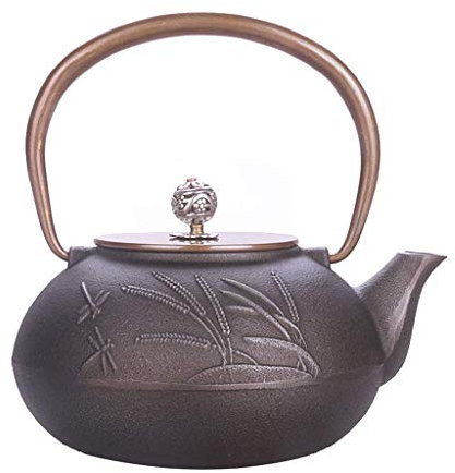 TLTDSMYF Théière en Fonte de Style Japonais, Service à thé Fait à la Main, Bouilloire en Fonte Durable, Motif de Plante à Grains de Libellule, Grande Taille, 1300 ML.