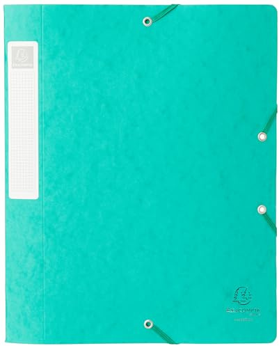 Exacompta Archivbox Cartobox A4 Rücken 4 cm grün