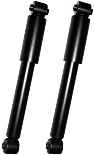 2x Stoßdämpfer Gasdruck Hinterachse für Smart