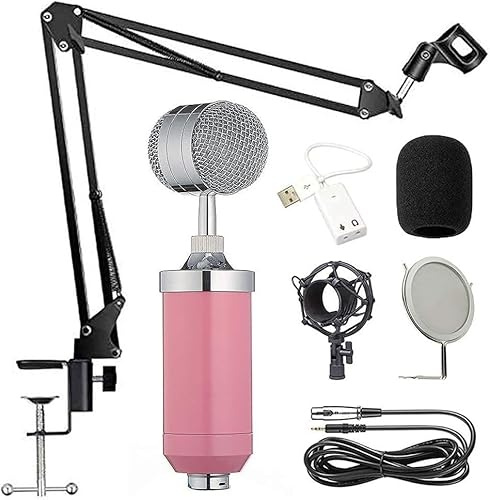 ELzEy For la registrazione in studio, microfono vocale trasmesso, kit microfono a condensatore, set microfono, microfono da gioco