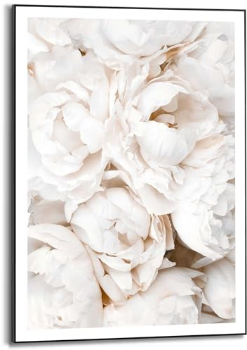 REINDERS Gerahmtes Bild, Weiße Rosen, Schlafzimmer, Poster, Wanddeko, Room Decor, MDF, Weiß, 70 x 50