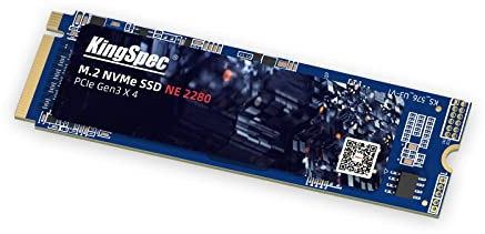 KingSpec SSD M.2 NVMe PCIe 3.0 256GB Gaming SSD 22x80mm Velocità fino a 1700Mb/s