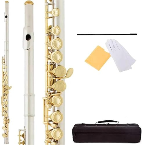 Querflöte Anfänger C-Klappe 16-Loch Geschlossene Flöte Versilbertes Kupfernickel-Instrument E-Klappe Mit Box
