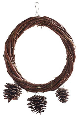 Rudiaoa Jouet pour Oiseaux Arbre Naturel Vigne Perchoir en Bois Perroquet Cage À Balançoire Jouet De Broyage avec Pommes Pin Compagnie Perchoirs À Balançoire