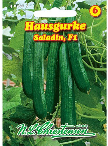 Hausgurke Saladin F1 (Portion)