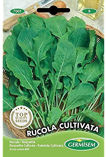 Germisem Rucola Cultivata Semi di Rucola 8 g