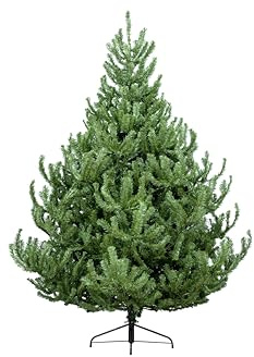 Christmas Tree World | 4ft Artificial Unlit Mountain Pine | Natural and Realistic Look with Bushy and Luxury Quality PVC Tips | Easy to Assemble and Take Down | 93cm Diameter