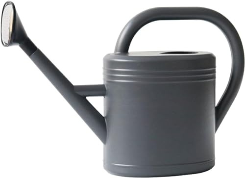 Arrosoir avec douchette - Arrosoir - Petit arrosoir pour plantes d'intérieur - Arrosoir en plastique - Arrosoir de jardin - Pour arrosage des fleurs, plantes et arbres (gris, 3 l)