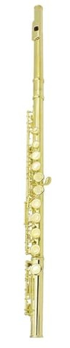 Flöteninstrument 16 Löcher C Key Querflöte Konzert Kupfernickel Farbe Querflöte Holzblasinstrument Mit Koffer(Golden)