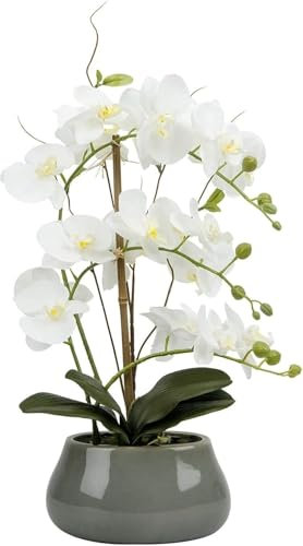 ZGSSOPTU Fleurs Orchidée blanche Orchidée Phalaenopsis Bonsaï, fleurs avec vase en céramique, toucher réaliste, H rose rouge (B rose clair)