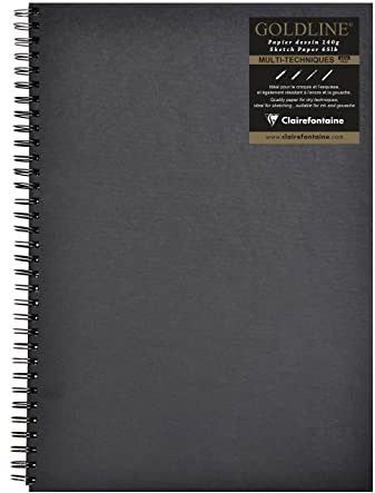 Clairefontaine 34264C Skizzenbuch mit Doppelspirale quer Goldine, Din A3, 42 x 29.7 cm, 140 g, schwarz