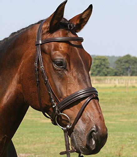 Hans Melzer Horse Equipment Trense Bad Harzburg, braun/Silber, Vollblut