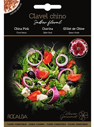 Semillas de flores comestibles de Clavel Chino Rocalba - Calidad y Versatilidad ?