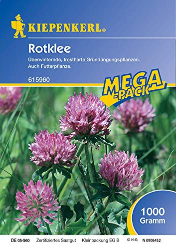 Rotklee Gründünger 1kg