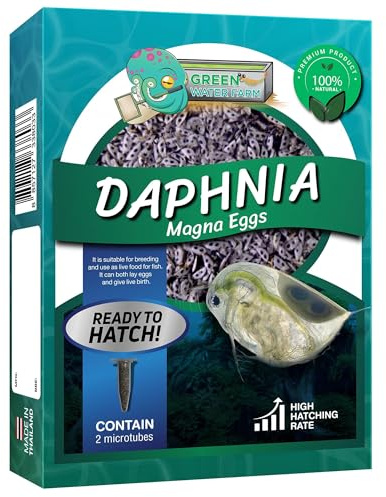 Greenwaterfarm [Daphnia Magna Eggs] Großer Wasserfloh Eier; Lebendes Fischfutter zum Schlüpfen, geeignet zum Futtern für Kampffische