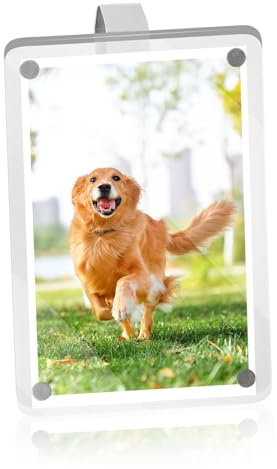 Portafoto magnetico in acrilico trasparente bifacciale con clip adesiva e supporto in metallo per visiera auto o frigorifero cornice magnetica resistente per display orizzontale o verticale9x6 cm