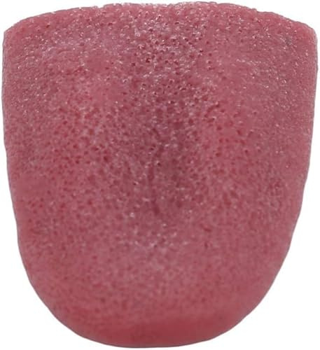 Realistic Fake Tongue Gross Jokes Prank Magic Tricks Halloween Horrific Magicians Props,Fake Tongue Piercing,Magic Kits and Accessories,Novelty and Gag Toys