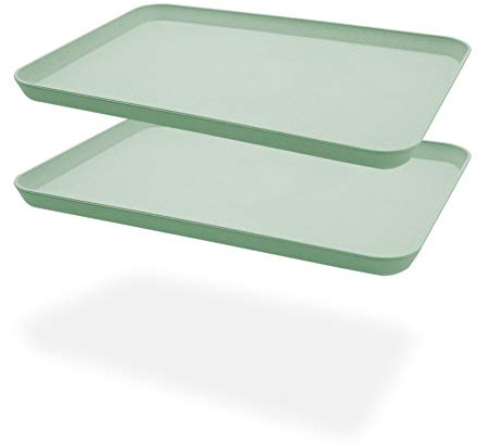 2 vassoi da portata infrangibili decorativi con cannuccia , ottimo per la cena, vassoio da tè, letto, vassoio da bar, vassoio per la colazione, vassoio per cibo(verde)