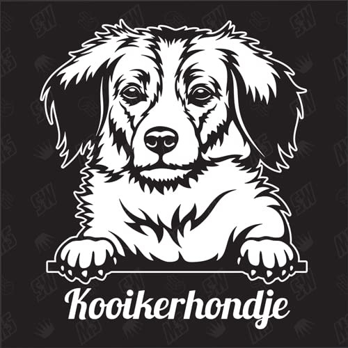 Kooikerhondje Version 1 - Sticker, Aufkleber, Hundeaufkleber, Autoaufkleber, Hund, Auto, Hunderassen, Mischling, Mix, Tiere, Haustier (AUCH MIT Wunschname MÖGLICH)