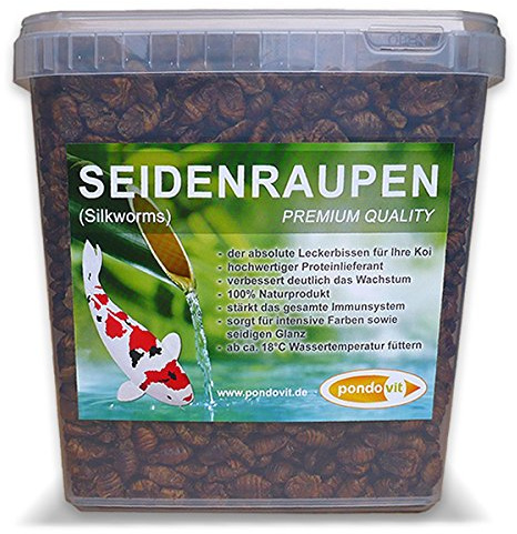 pondovit Seidenraupenpuppen - Premiumsnack - Koi Leckerbissen, 5 l | Koi Leckerbissen