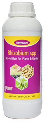 Katyayani Rhizobium Bio Fertilizer (5 x 10 ^ 8 CFU ml/min) for Plants and Home Garden Nitrogen Provider for Eco Friendly Liquid Nitrogen fixing Bacteria (1000ml x 1)