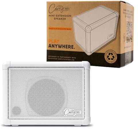 Carry-on Mini altoparlante di estensione da 3 Watt Mini altoparlante compatto 3 Watt mini amplificatore combinato portatile