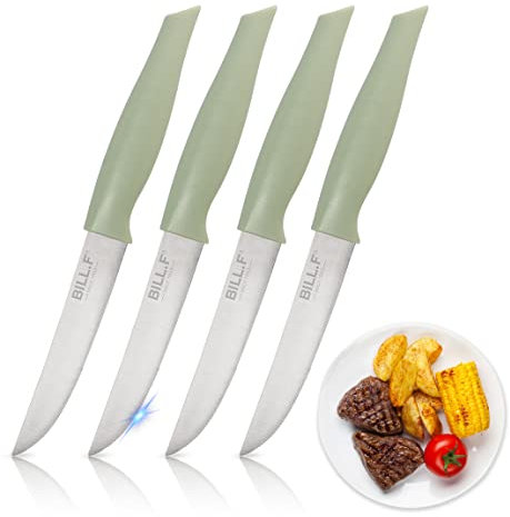 Bill.F Edelstahl Steakmesser Set 4-teilig - Steak Messerset Steakbesteck Set - Steak Messer Steak Besteck Set - Steak Knives Set, Rindfleisch Schneiden, Messerset für Familie- Grün