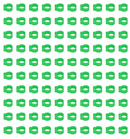 100 Stück 8 Mm Leere Taubenringe, Identifizierbare Beinbänder für Rennvögel, Beinringe für Tauben und Tauben, Unverzichtbares Taubenzubehör (GREEN)