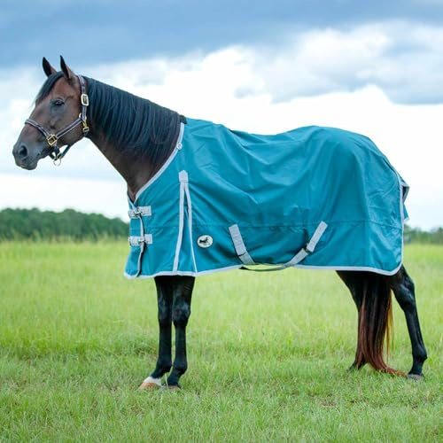 Jeffers Economy 600 Denier Standard Neck Horse Sheet 0 Gramm Polyfill, 167 cm – wasserdichte, leichte Weidedecke für Pferde – stabil, Scheune, Weide, Reisen, verstellbare Passform – Blaugrün