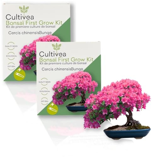 CULTIVEA 2 x First Bonsai-Set - Bonsai-Set für die erste Kultur – fertig zum Wachsen mit Samen & Zubehör – Geschenkidee für Gartenarbeit | Made in France (Cercis Chinensis)