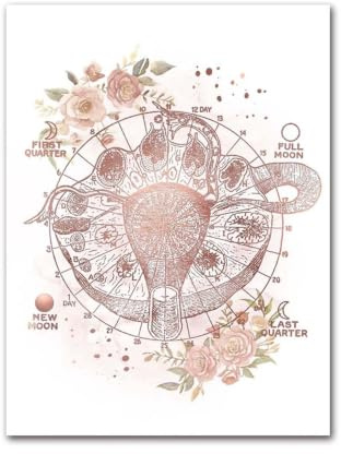 1 St Kvinnlig Anatomi Fertilitet Graviditet Posters Prints Canvas Målning Väggkonst Bild Gynekologi Obstetrik Dekoration Väggmålning Present