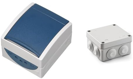 Busch-Jaeger 20EW-53 SCHUKO Steckdose mit Klappdeckel grau/blaugrün 20 EW-53, 83x74x55 & FAMATEL – Wasserdichte Abzweigdose IP55 I Hologenfrei