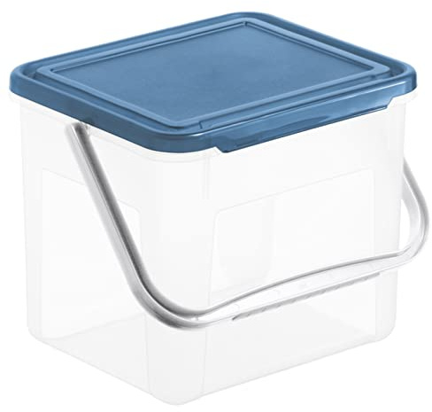 Rotho 1770206161 Basic Boîte de Stockage 5l avec Couvercle et poignée, Plastique (PP) sans BPA, Transparent/Bleu, 3kg/5l, (21 x 20 x 18 cm)