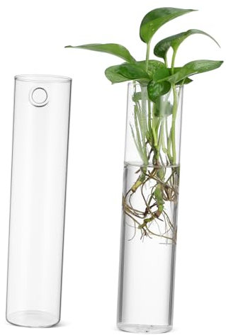Gatuida 2stücke Zylindrische Glas-wandvasen Hängende Pflanzgefäße Für Zimmerpflanzen Wandbehang-pflanzgefäße Glasröhren-wandvasen Anzuchtstationen Für Pflanzen Vase Für Vermehrte Pflanzen