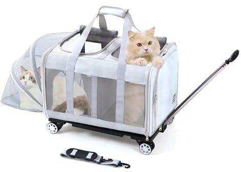BEAUTYMONKEY.K Katzen Transporttasche für 2 Tiere mit Rollen Abnehmbarem Untergestell – 2-Kammer-Design Transportbox Trolley Groß für Zwei Katzen mit Räder – Ideal für Tierarzt, Autoreisen(55x44x33cm)