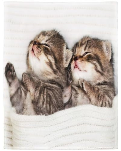 YISUMEI Decke 150x200 cm Kuscheldecken Sanft Flanell Weich Fleecedecke Bettüberwurf Kätzchen Katze Schlaf