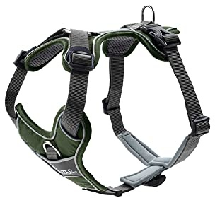 HUNTER DIVO hundsele, XS, 34–47 cm, bill/grå