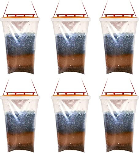 Trappola per mosche trappola per mosche usa e getta (6 confezioni)