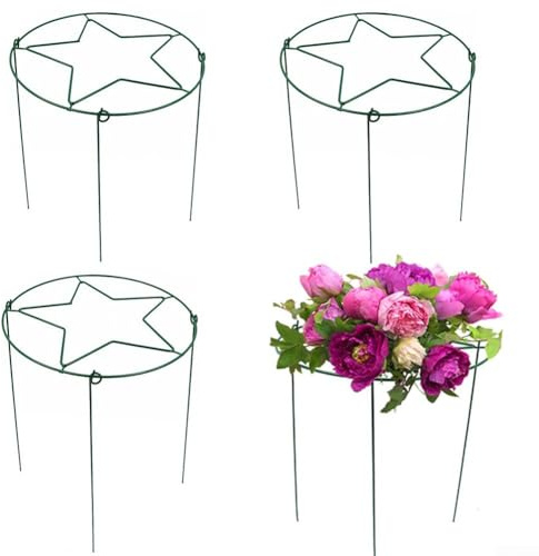 Lot de 4 cages rondes de support pour plantes - Cadre en métal avec grille amovible à cinq branches réglable - Pivoine, rose, dahlia, hortensia, fraise - pour pots de jardin et plates-bandes