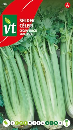Semillas de Apio Pascal Verde - Para comer hojas y costillas