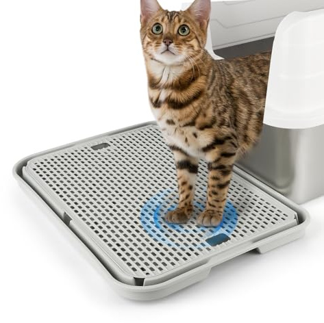 Bartuke Large Rampe per lettiera per Gatti, 42X28CM scalino/tappeto per gatto con funzione filtro, facile da pulire, ideale per gattini e gatti anziani (Grigio chiaro)