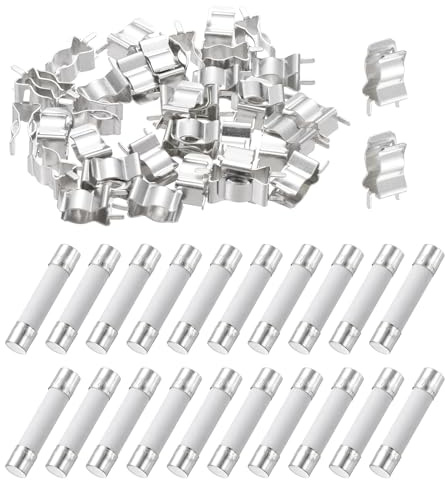 QUARKZMAN 20er Packung 10A Keramiksicherung 6x30mm Feinsicherungen Silber | Sicherung mit Sicherheitsclip, Träge Auslösecharakteristik, 250V