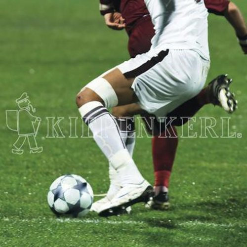 Kiepenkerl RSM 3.2 Profi Sportrasen | 10kg Regeneration mit Poa