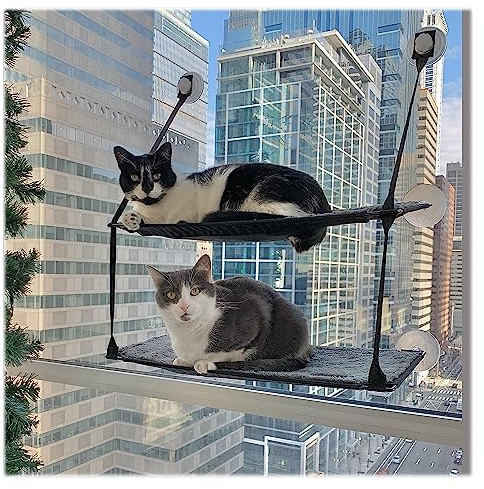 K&H 779092 EZ Easy Window Mount Kitty Sill, am Fenster zu befestigendes Katzenbett mit Zwei Ebenen