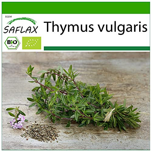SAFLAX - BIO - Thymian - 800 Samen - Mit keimfreiem Anzuchtsubstrat - Thymus vulgaris