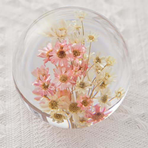 Zhyx Gänseblümchen Briefbeschwerer Daisy Crystal Wishing Ball Unique ist ein perfektes Geschenk für Familie, Freunde, Paare und Kinder (7cm) Durchmesser