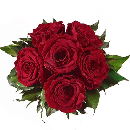 Blumenstrauss konserviert mit 6 Rosen - Rosemarie Schulz (Dunkelrot)