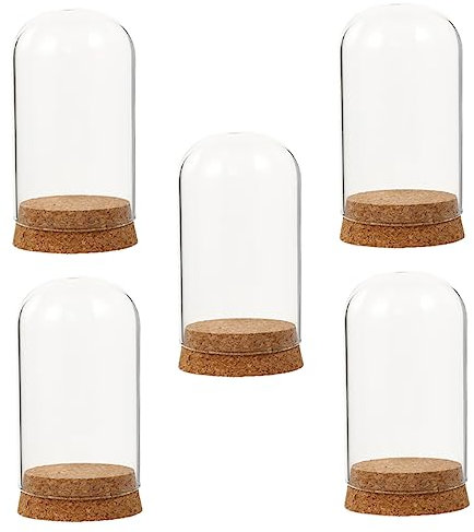 Warmhm 5pcs Preserved Flower Glass Cover Dome Desktop Home Decoration Softwood Cork Lid for Flower Craft Display