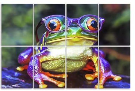 8 Pack Art Acoustic Panels Sound Absorbing Frog With Glasses Colorful Funny Animal Bright Colors Realistic Decorative Soundproof Wall Panels Self Adhesive for Recording Studios Office 48x32